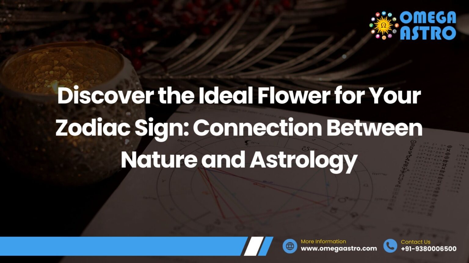 Flower for Your Zodiac Sign