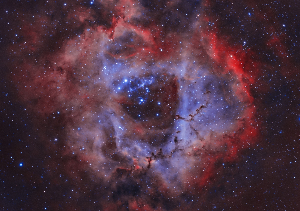 Vastu Consultation ​