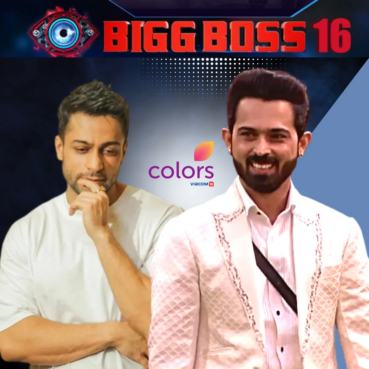 Shalin Bhanot Big Boss 16